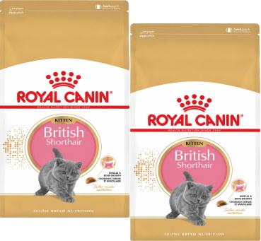 Royal Canin British Shorthair Kitten 2 x 2 kg Trockenfutter für British Shorthair-Kätzchen