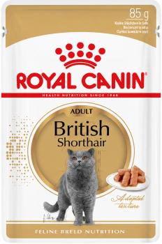Royal Canin British Shorthair Adult in Soße - 12 x 85 g Feuchtfutter für ausgewachsene British Shorthair Katzen