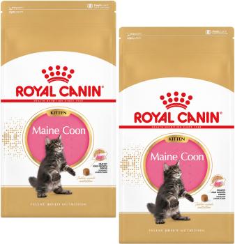 Royal Canin Maine Coon Kitten 10 kg Trockenfutter für Maine Coon Kätzchen