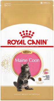 Royal Canin Maine Coon Kitten 400 g Trockenfutter für Maine Coon Kätzchen