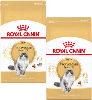 Royal Canin Norwegian- 2 x2 kg - Trockenfutter speziell für Katzen der Rasse Norwegische Waldkatze