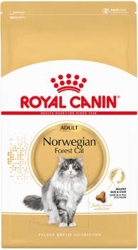 Royal Canin Norwegian- 2 kg - Trockenfutter speziell für Katzen der Rasse Norwegische Waldkatze