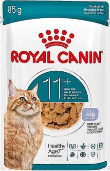 Royal Canin Ageing 11+ in Gelee - Feuchtfutter für Katzen ab 11 Jahren