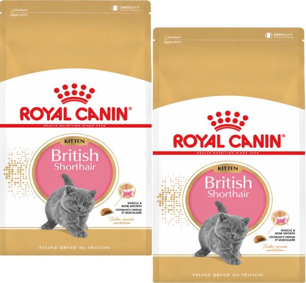 Royal Canin British Shorthair Kitten 2 x 2 kg Trockenfutter für British Shorthair-Kätzchen