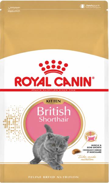 Royal Canin British Shorthair Kitten 2 kg Trockenfutter für British Shorthair-Kätzchen
