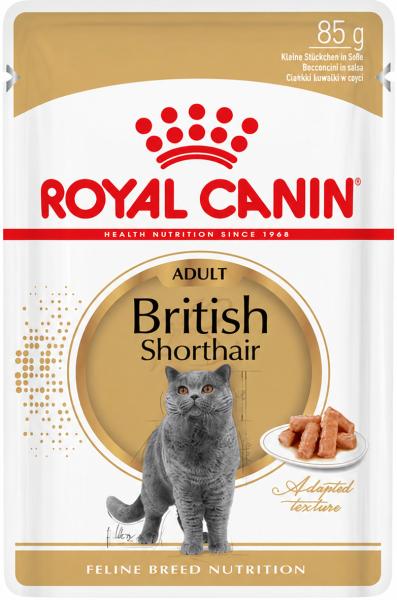 Royal Canin British Shorthair Adult in Soße - 48 x 85 g Feuchtfutter für ausgewachsene British Shorthair Katzen