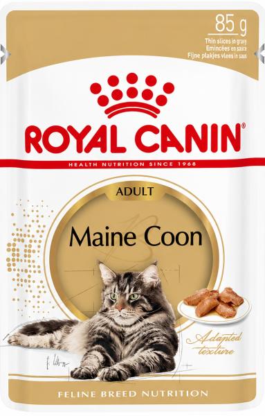 Royal Canin Maine Coon Adult in Soße - 12 x 85 g Feuchtfutter für ausgewachsene Maine Coon Katzen