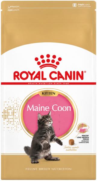 Royal Canin Maine Coon Kitten 400 g Trockenfutter für Maine Coon Kätzchen