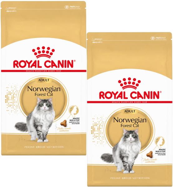Royal Canin Norwegian- 2 x2 kg - Trockenfutter speziell für Katzen der Rasse Norwegische Waldkatze