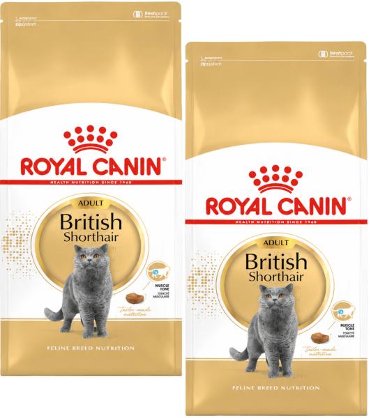Royal Canin British Shorthair- 2 x 10 kg - Trockenfutter speziell für Katzen der Rasse British Shorthair