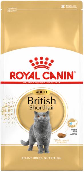 Royal Canin British Shorthair- 10 kg - Trockenfutter speziell für Katzen der Rasse British Shorthair